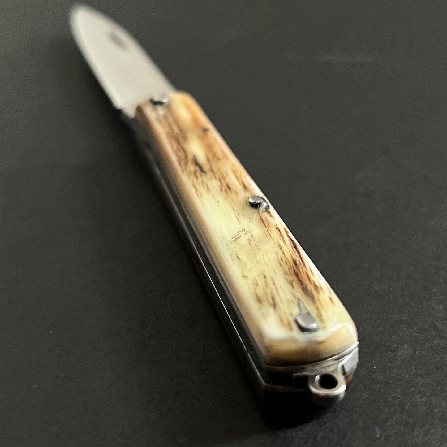 2" Italian Frosolone Bone Handle Mini Folding Picnic Knife